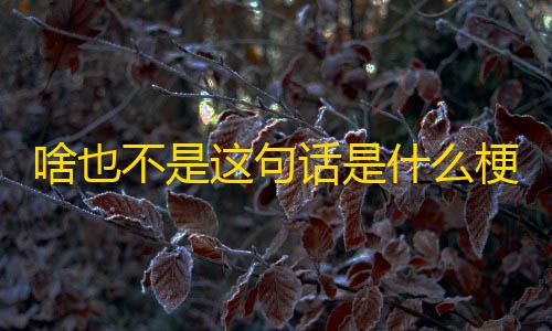 苹果越狱辅助论坛啥也不是这句话是什么梗